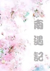 南遇記